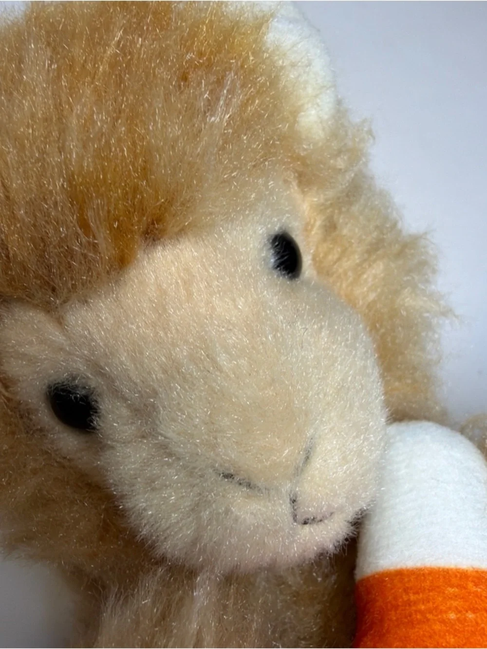 Douglas rare alpaca